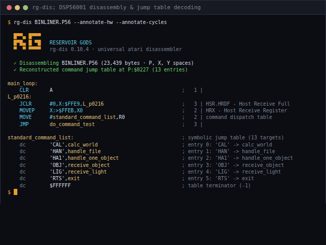 rg-dis DSP disassembly listing